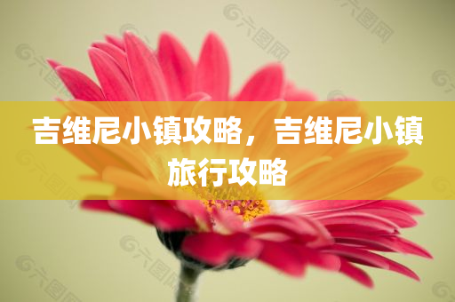 管家婆一肖一碼100%準(zhǔn)確一,實(shí)踐操作評(píng)估報(bào)告，極致版2212.9972