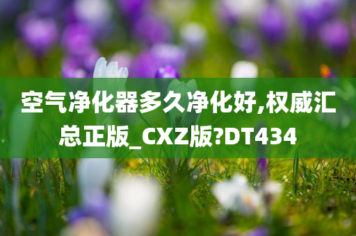 尋寶傳奇最新篇章，探索未知奧秘的神秘旅程