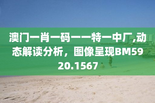 澳門一肖一碼一一特一中廠,動(dòng)態(tài)解讀分析，圖像呈現(xiàn)BM5920.1567