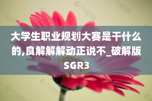 生普洱茶餅價格詳解，市場走勢、品質因素與購買指南