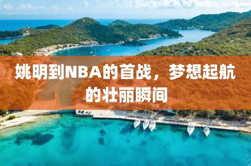 姚明到NBA的首戰(zhàn)，夢想起航的壯麗瞬間