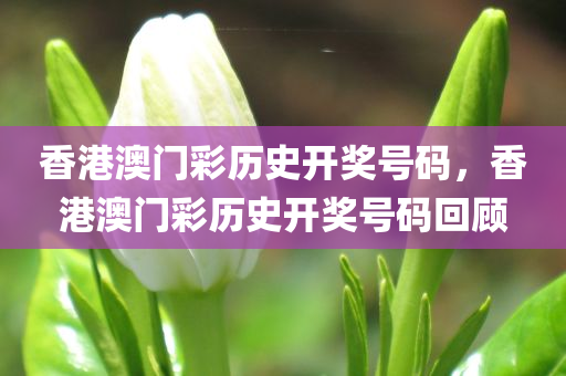 管家婆一肖一碼100%準確,優(yōu)化方案實施，競技模式6539.8558