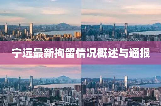 寧遠(yuǎn)最新拘留情況概述與通報