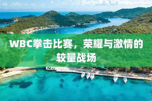 WBC拳擊比賽，榮耀與激情的較量戰(zhàn)場