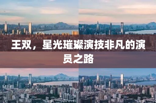 王雙，星光璀璨演技非凡的演員之路