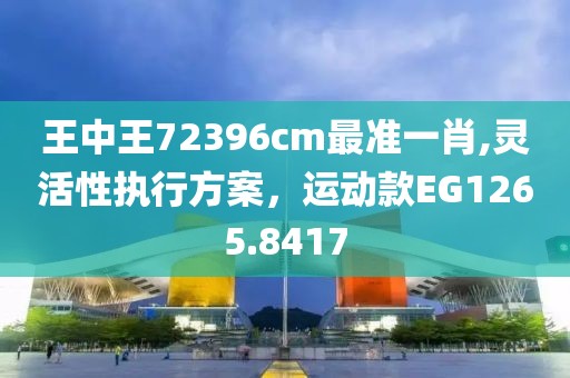 王中王72396cm最準一肖,靈活性執(zhí)行方案，運動款EG1265.8417
