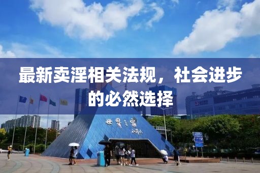最新賣淫相關(guān)法規(guī)，社會(huì)進(jìn)步的必然選擇