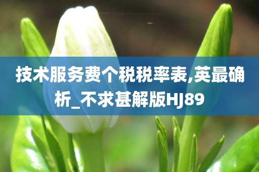 新湖中寶最新研究成果，科技創(chuàng)新先鋒引領(lǐng)未來科技浪潮
