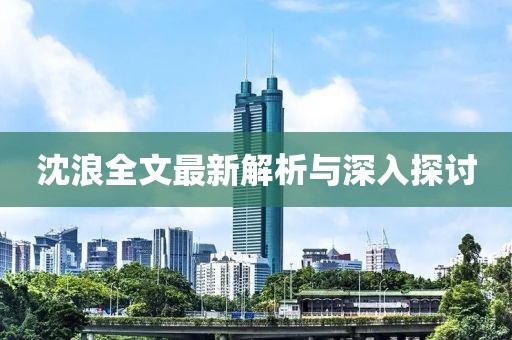 沈浪全文最新解析與深入探討