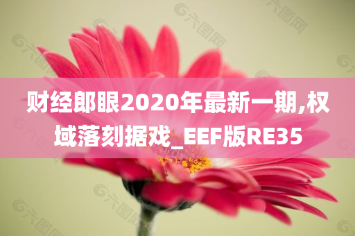 合體雙修最新章節(jié)揭秘，神秘修煉之旅的探險啟程