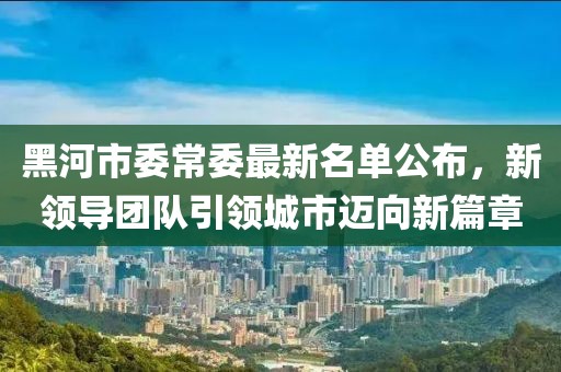 黑河市委常委最新名單公布，新領(lǐng)導(dǎo)團(tuán)隊(duì)引領(lǐng)城市邁向新篇章