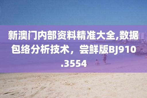 新澳門內(nèi)部資料精準(zhǔn)大全,數(shù)據(jù)包絡(luò)分析技術(shù)，嘗鮮版BJ910.3554