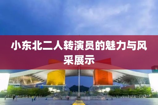 小東北二人轉(zhuǎn)演員的魅力與風(fēng)采展示