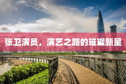 張衛(wèi)演員，演藝之路的璀璨新星