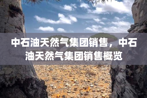 丹麥手淫比賽的誤解與反思，一場風波引發(fā)的深思