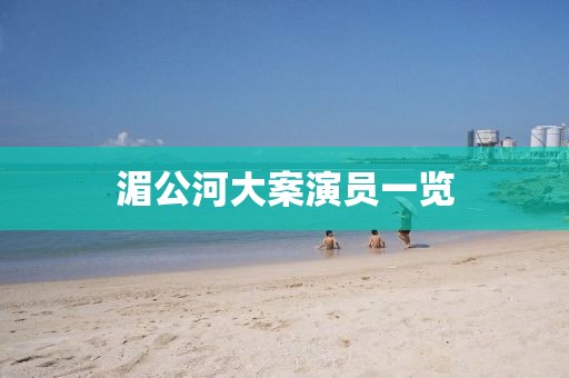 湄公河大案演員一覽
