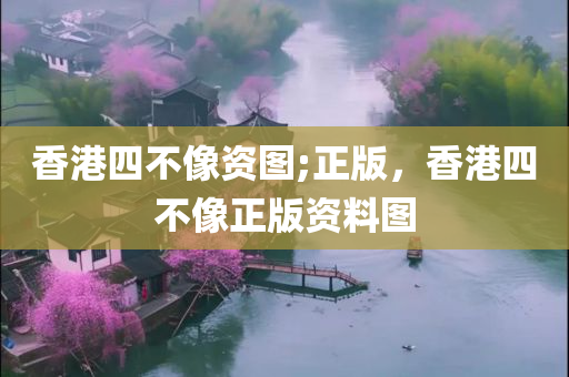 管家婆2024正版資料大全,信息明晰解析導向，圖像展示UW9734.5905