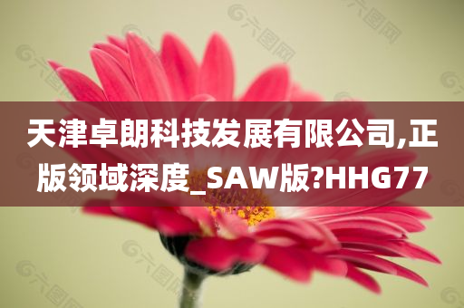 動漫替身，身份轉(zhuǎn)換與情感投射的虛擬世界之旅