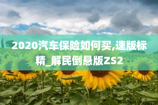 電視劇闖關東前傳劇情深度解析，時代背景下的英雄傳奇之旅