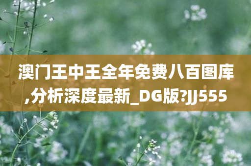 歐美最新倫理片，道德與人性的現(xiàn)代交織探索