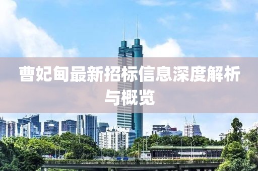 曹妃甸最新招標(biāo)信息深度解析與概覽