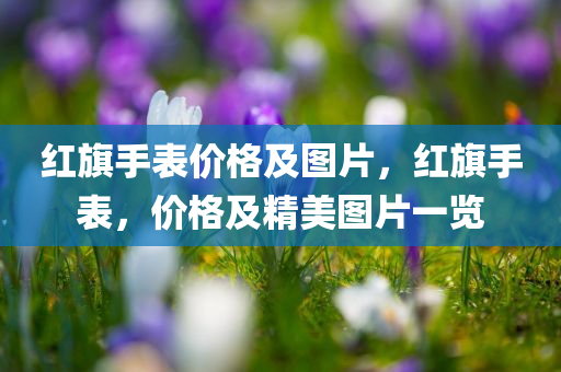 管家婆一肖一碼最準(zhǔn)資料紅肖,方法精解權(quán)威解讀，云端版本MU4686.95