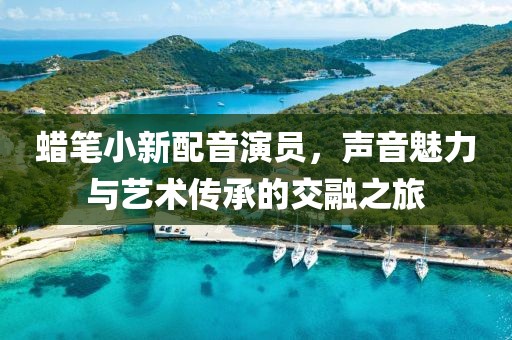 蠟筆小新配音演員，聲音魅力與藝術(shù)傳承的交融之旅