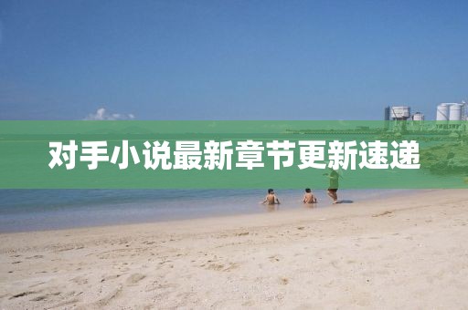 對(duì)手小說最新章節(jié)更新速遞