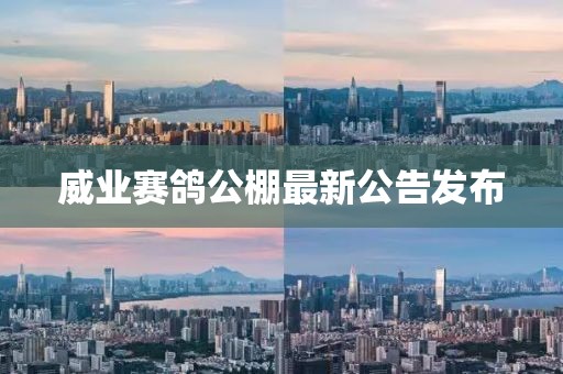 威業(yè)賽鴿公棚最新公告發(fā)布