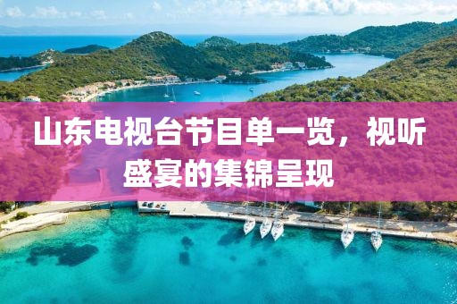 山東電視臺節(jié)目單一覽，視聽盛宴的集錦呈現(xiàn)