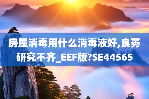 2025年6月4日 第4頁
