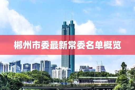 郴州市委最新常委名單概覽