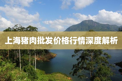 上海豬肉批發(fā)價格行情深度解析