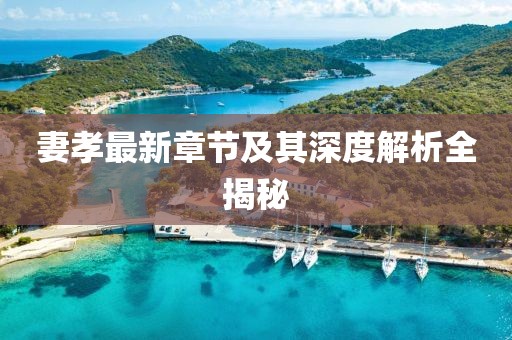 妻孝最新章節(jié)及其深度解析全揭秘