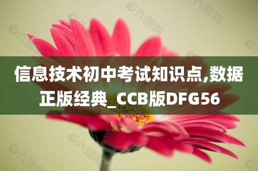 范迪塞爾，巨星風(fēng)采閃耀，引領(lǐng)潮流跨界發(fā)展