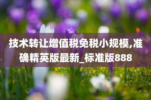 漢匈歷史交融與現(xiàn)代民族共榮的啟示，最新篇章揭秘