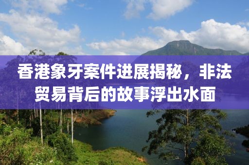 香港象牙案件進(jìn)展揭秘，非法貿(mào)易背后的故事浮出水面