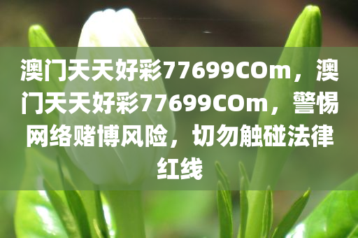 張帥展現(xiàn)不屈斗志與堅(jiān)韌精神，賽場上的斗志昂揚(yáng)之旅