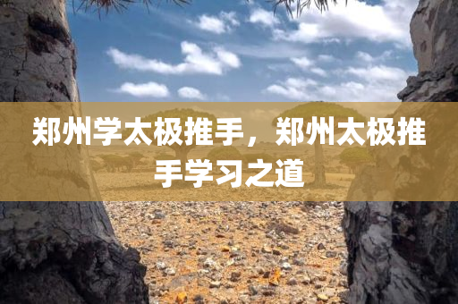 澳門一碼一肖100準嗎，物流與運輸MI543.594
