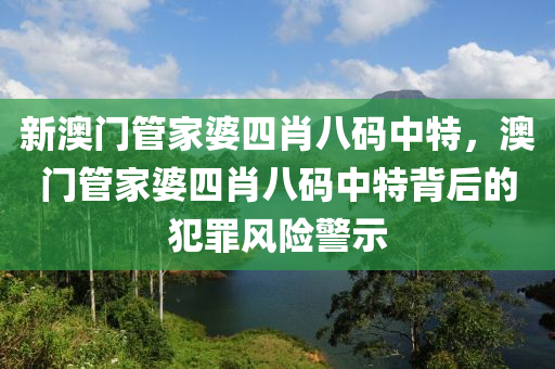 2024新奧原料免費大全，理論探究闡釋LQ94.592