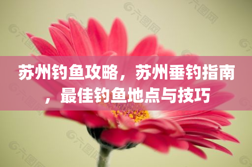 三肖三期必出特馬，評(píng)估機(jī)制方案BG614.563