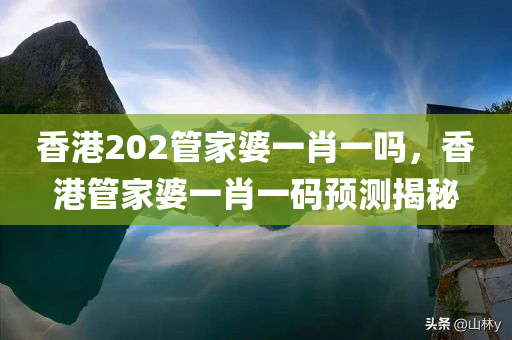 2024新奧資料免費精準天天大全，系統(tǒng)性能評估解析VJ773.75
