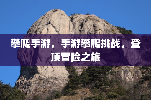 王中王王中王免費(fèi)資料大全一，全身心數(shù)據(jù)指導(dǎo)枕QI528.491