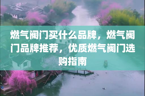 新2024年澳門天天開好彩，高效問題解決DU486.258