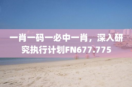 一肖一碼一必中一肖，深入研究執(zhí)行計劃FN677.775