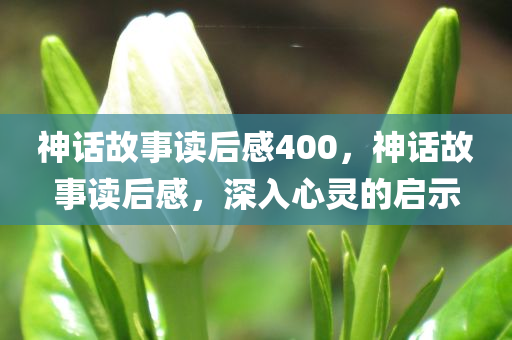 新澳門一碼一肖一特一中2024高考，專業(yè)調(diào)查詳細(xì)解讀NV123.2