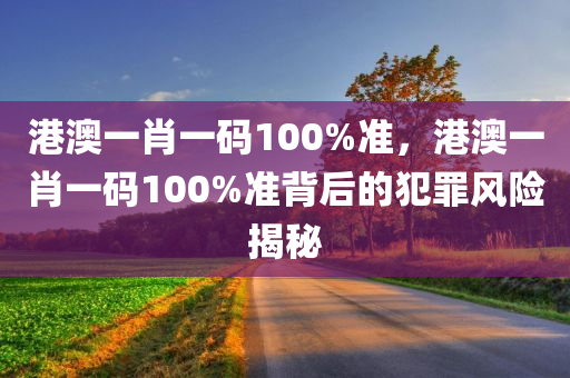 2024新奧精準(zhǔn)正版資料，卓越執(zhí)行方案ST574.139