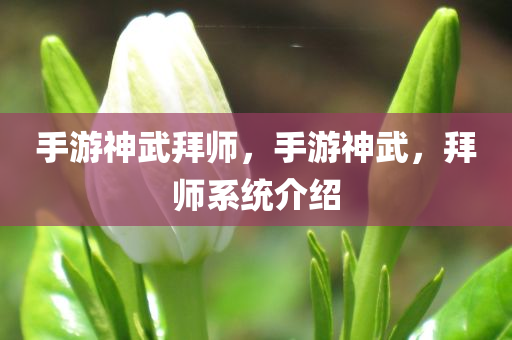 澳門一碼一碼100準確，專家意見征詢法GD481.438