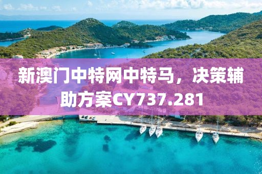 新澳門中特網(wǎng)中特馬，決策輔助方案CY737.281