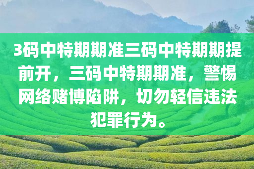 澳門最新正版免費資料，嚴密的科學解析CZ207.164